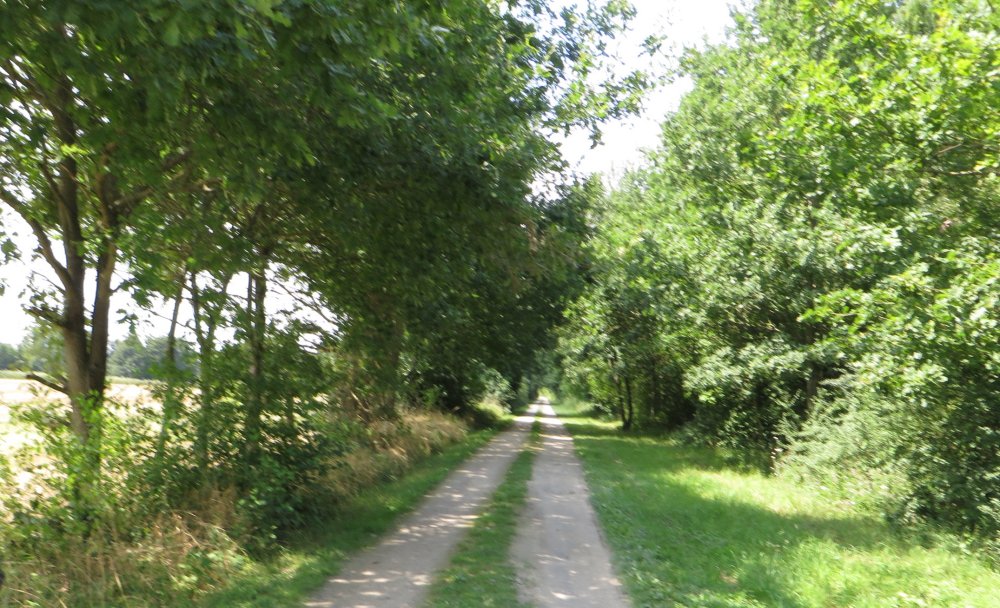 photo du diaporama