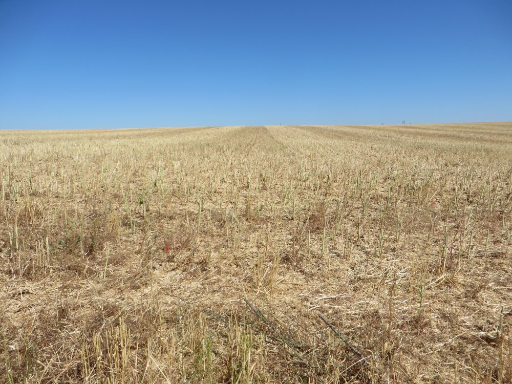 photo du diaporama