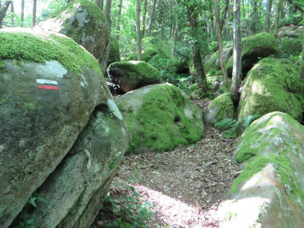 photo du diaporama