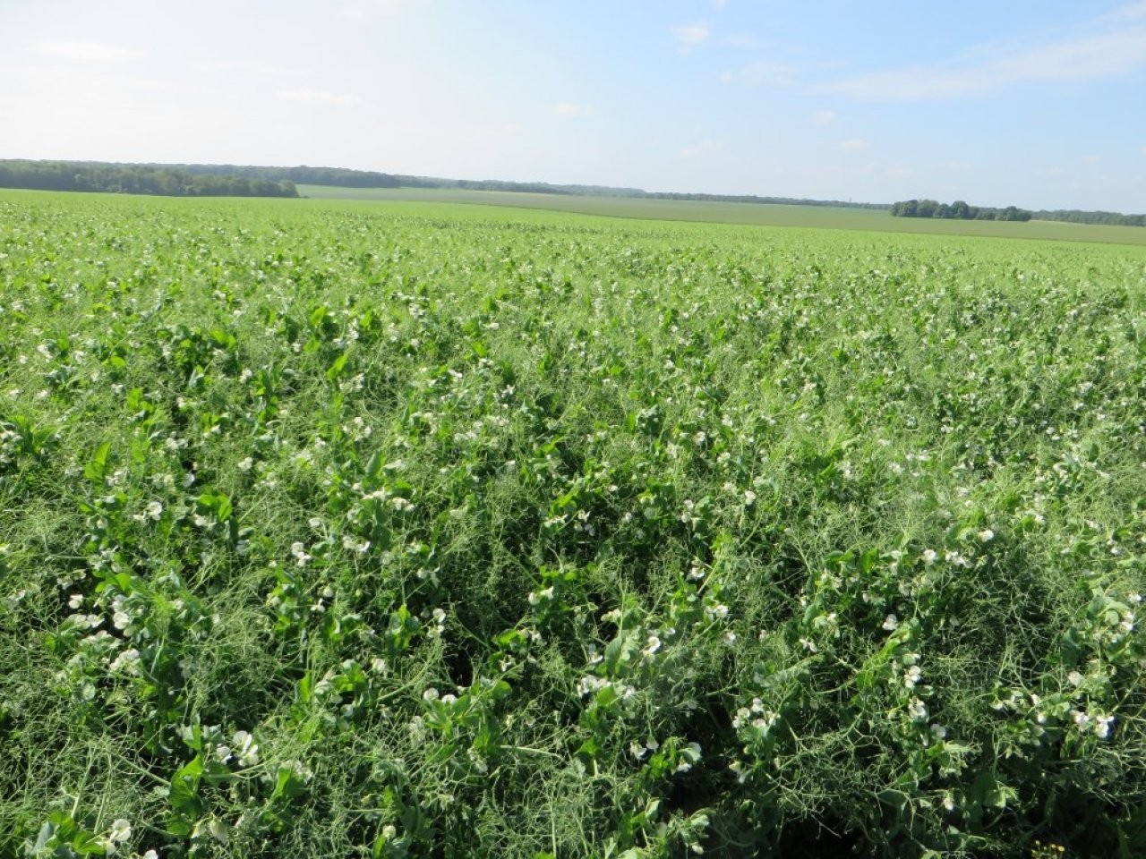 photo du diaporama