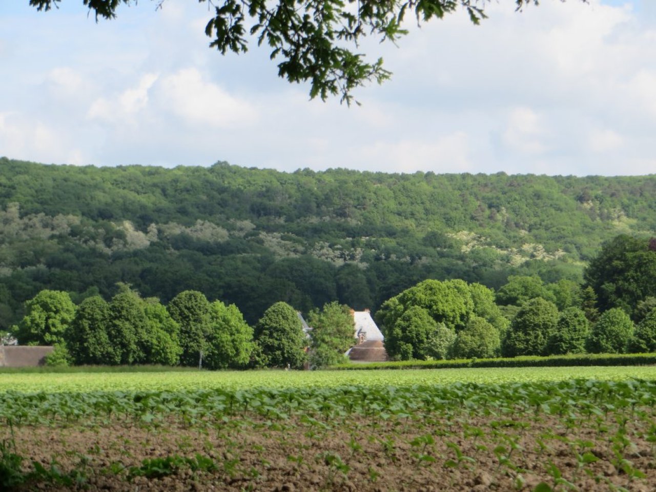 photo du diaporama
