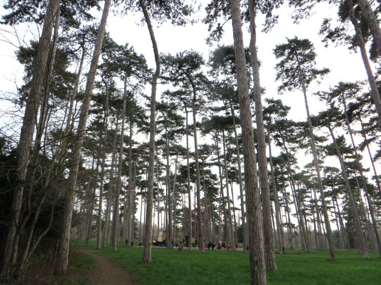 photo du diaporama