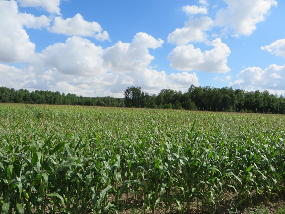 photo du diaporama