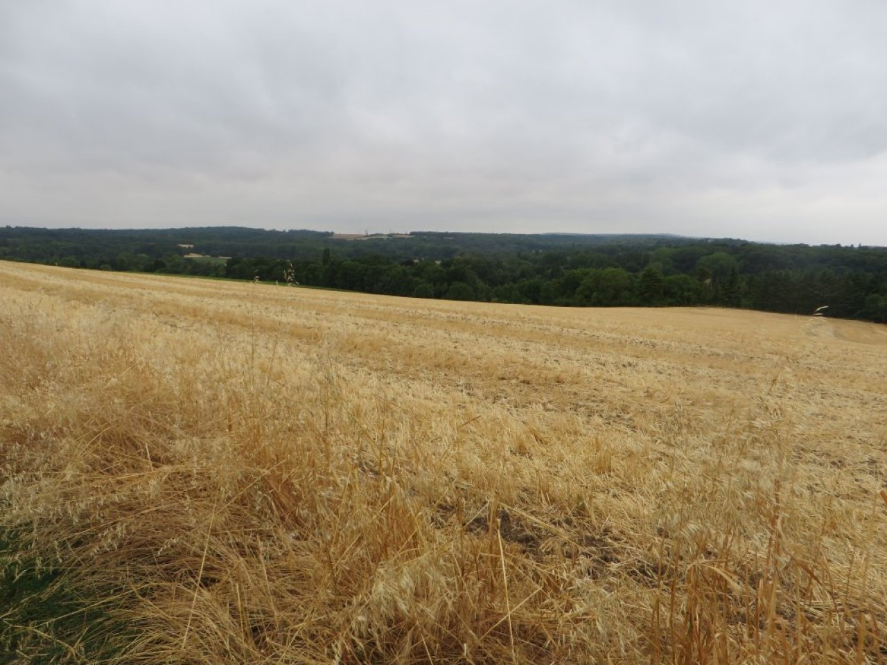 photo du diaporama