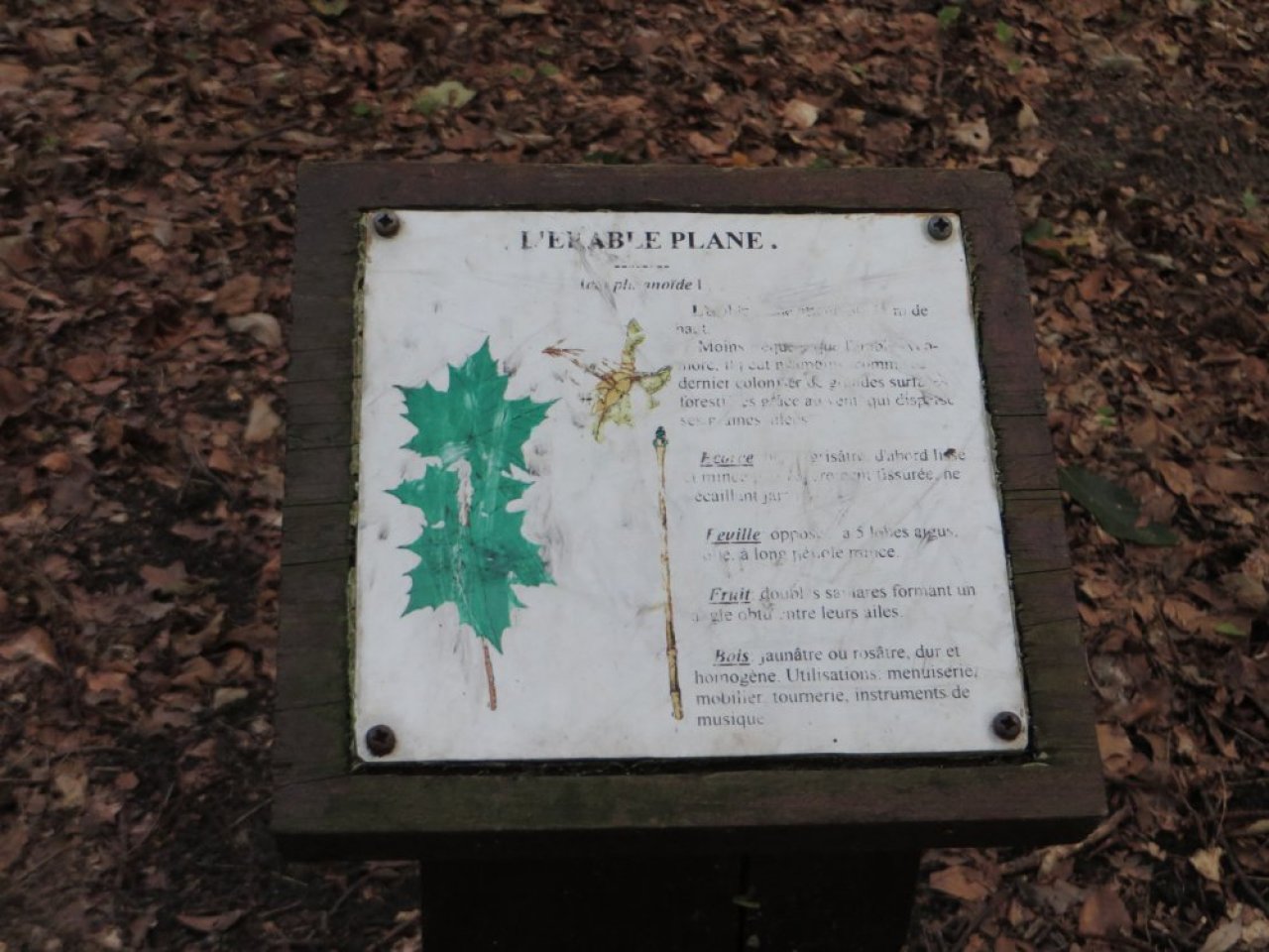 photo du diaporama