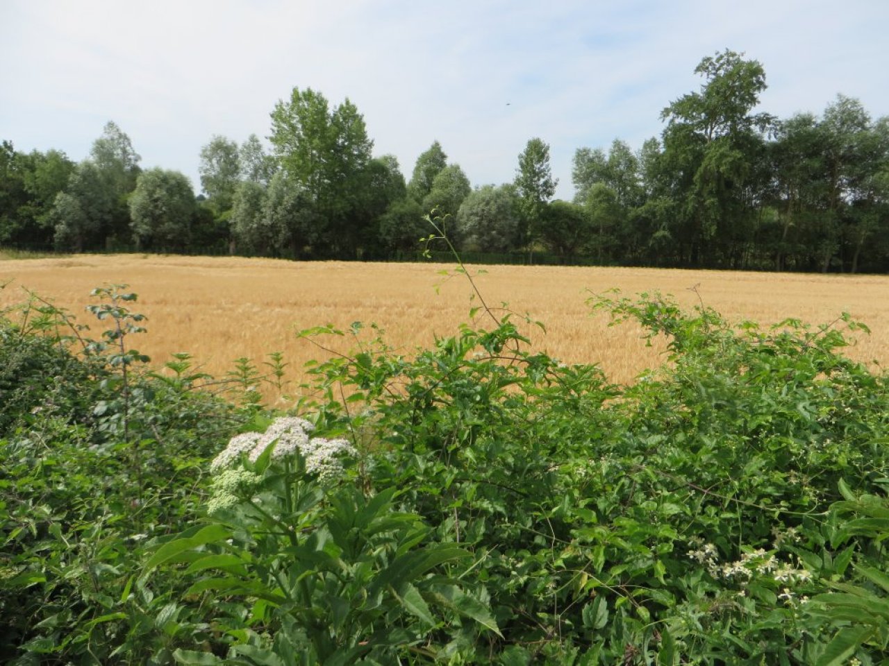 photo du diaporama