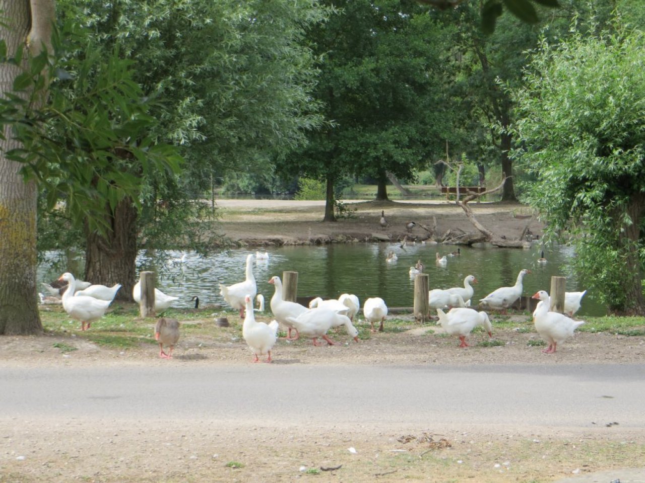 photo du diaporama