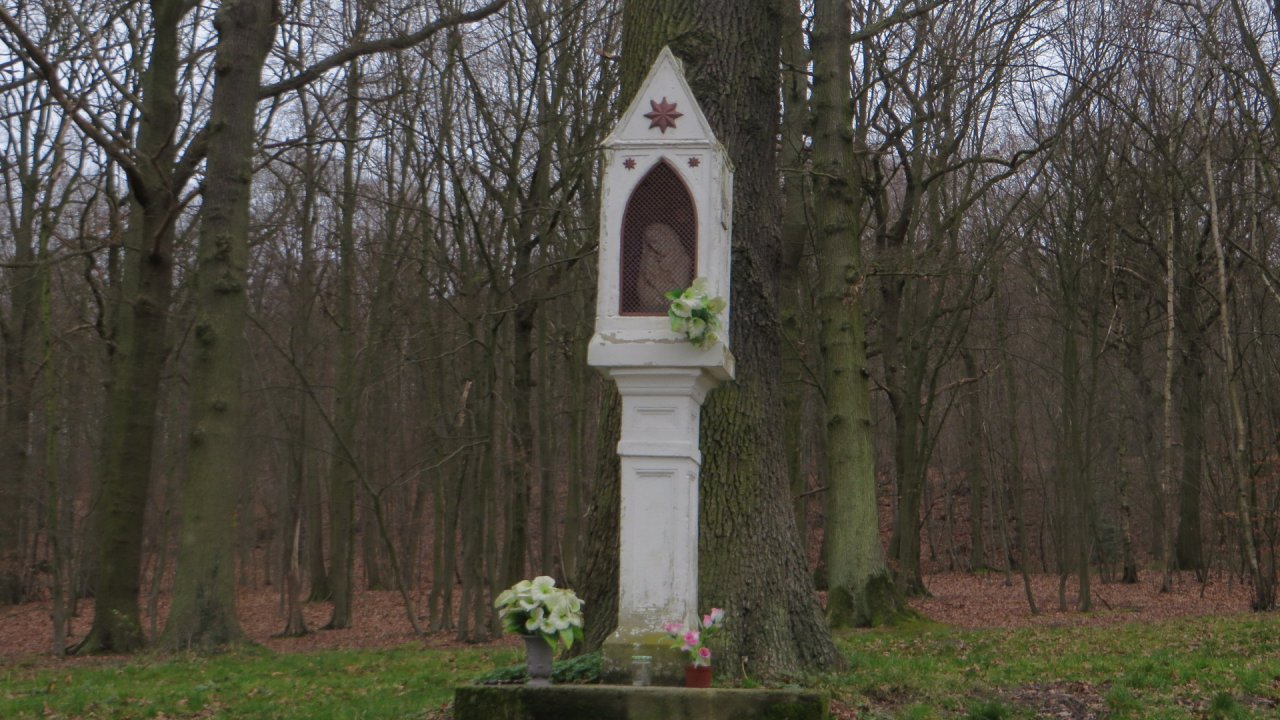 photo du diaporama