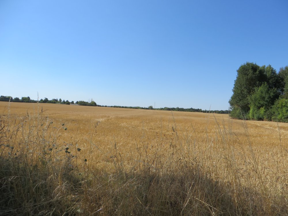 photo du diaporama