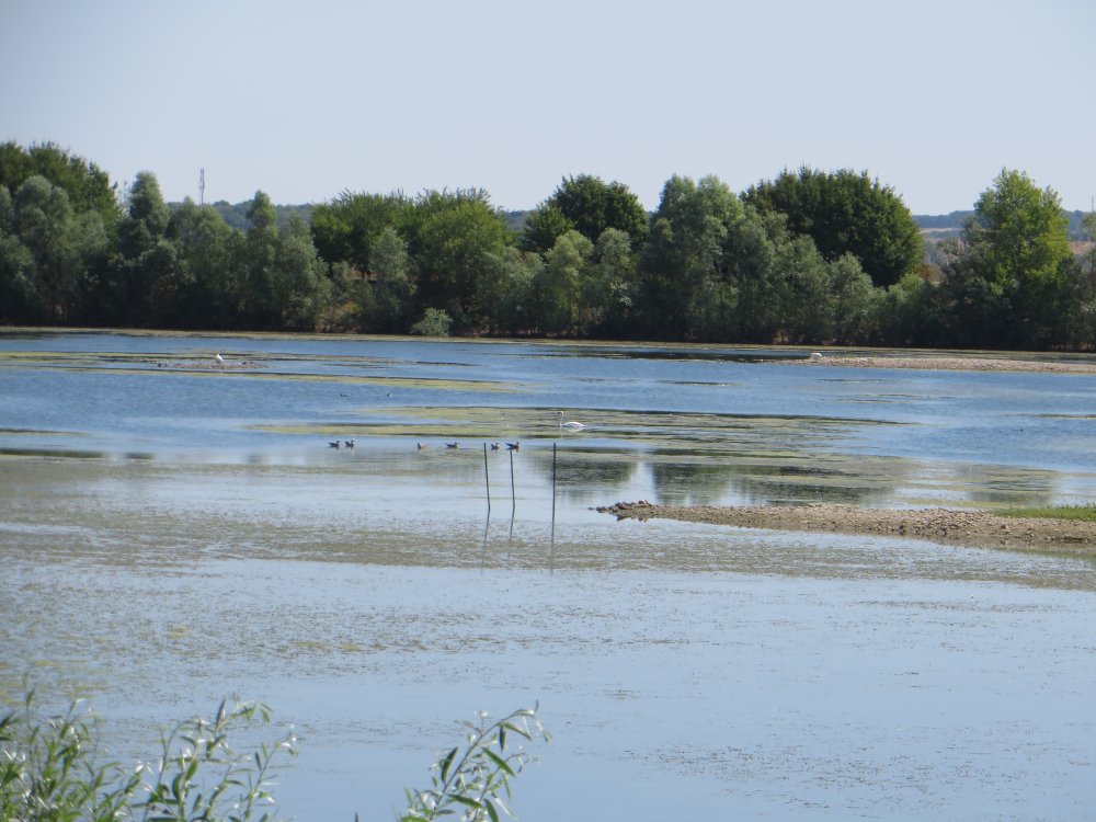 photo du diaporama