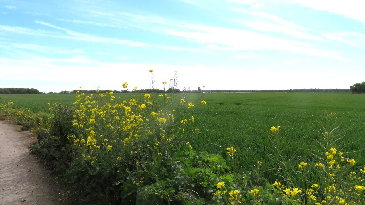 photo du diaporama