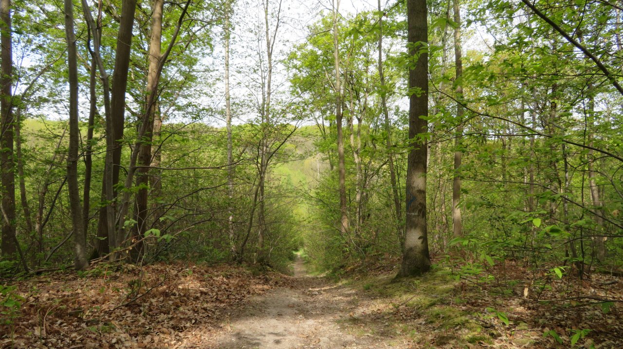 photo du diaporama