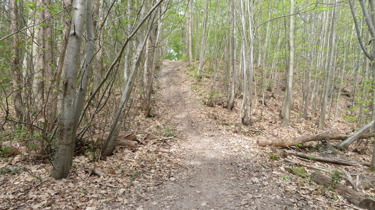 photo du diaporama