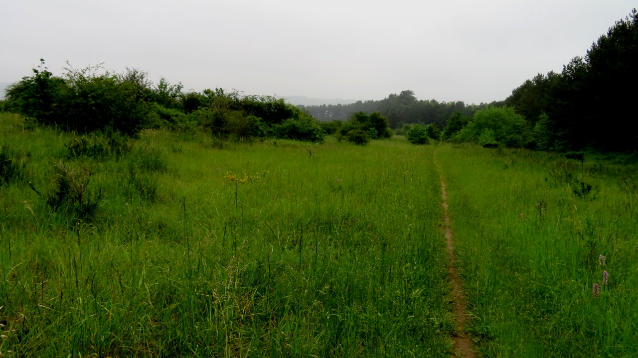 photo du diaporama