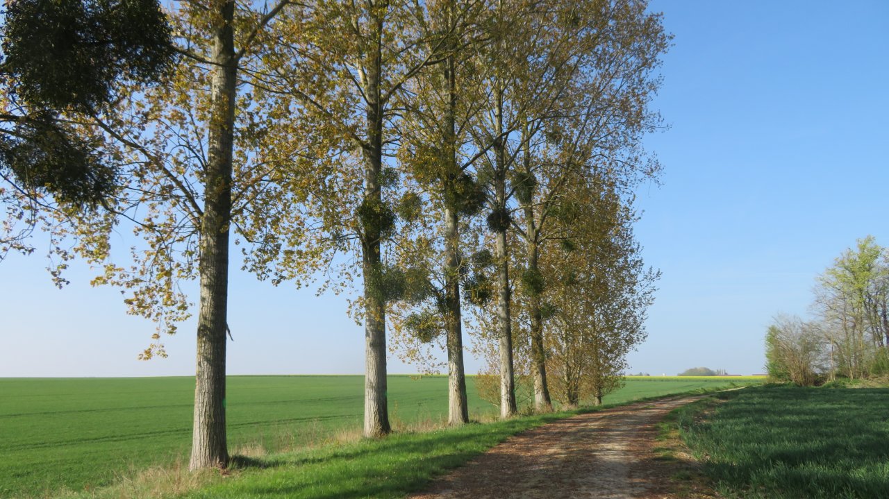 photo du diaporama