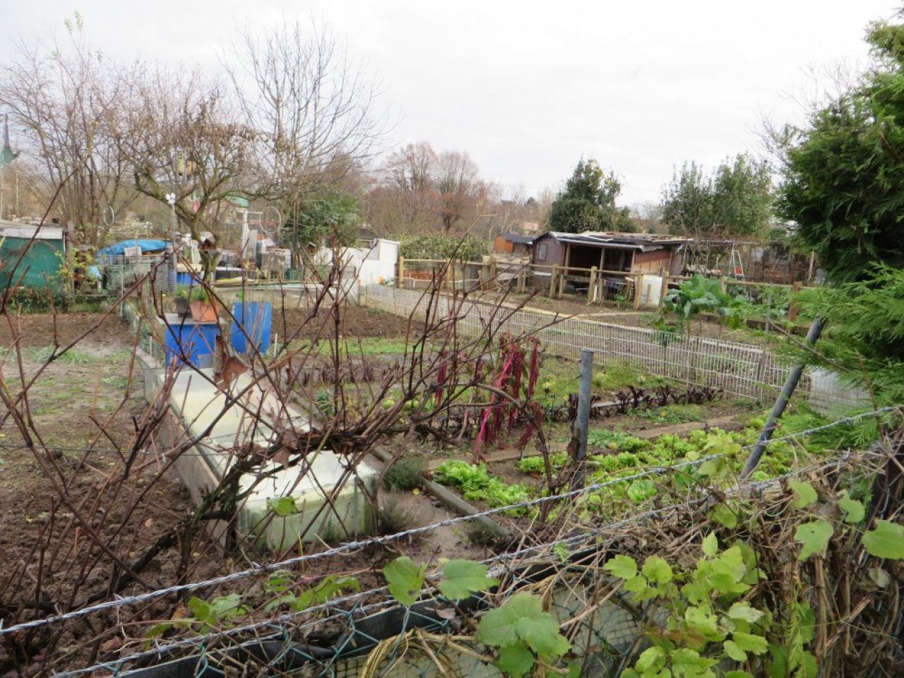photo du diaporama