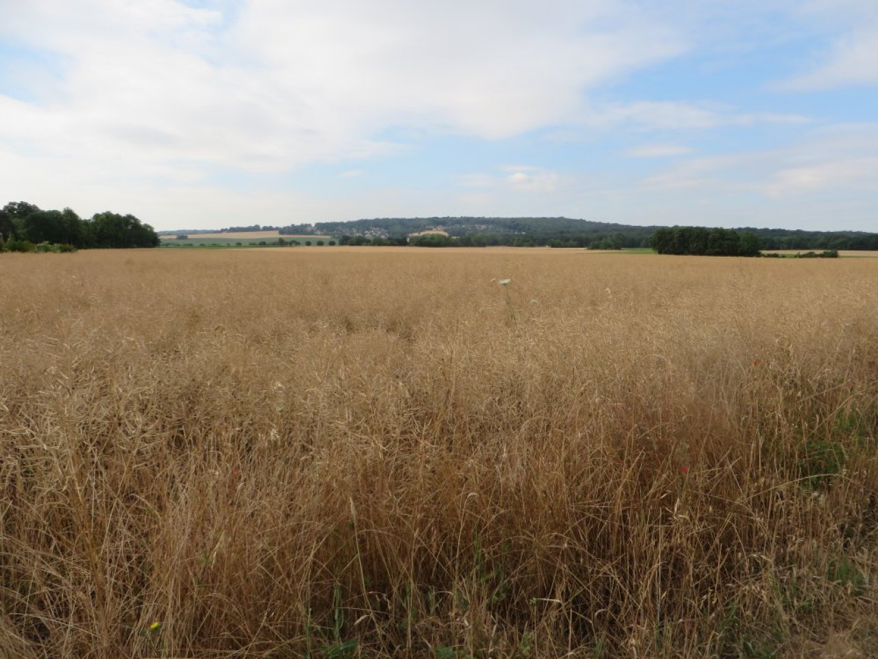 photo du diaporama
