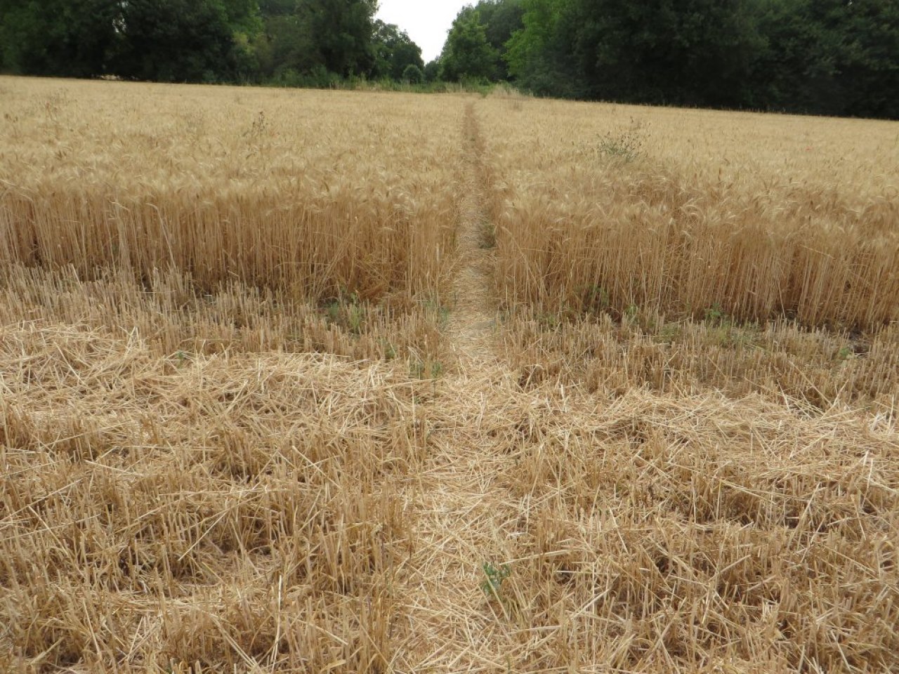 photo du diaporama