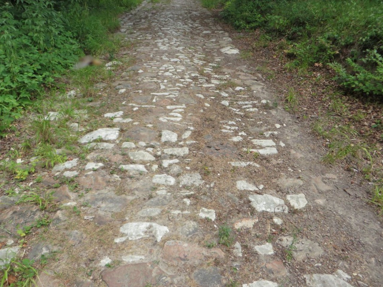 photo du diaporama