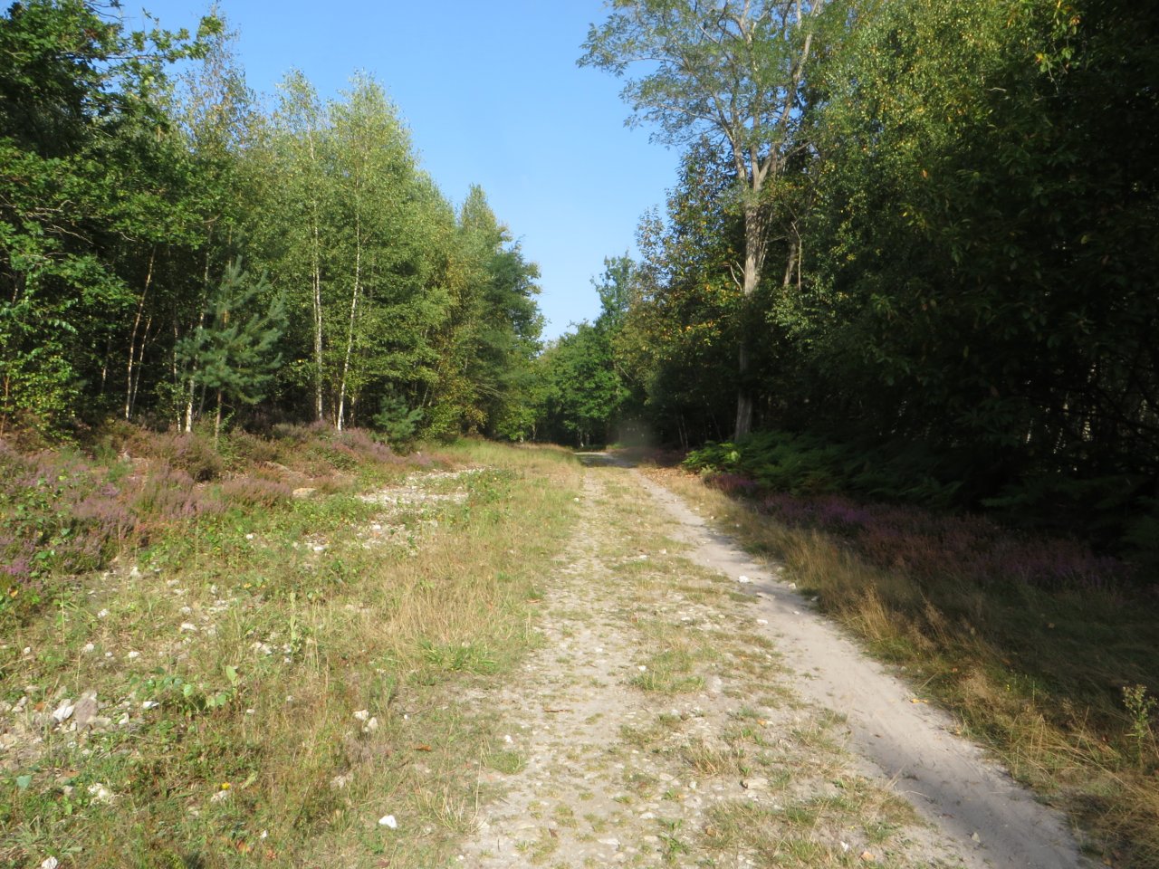 photo du diaporama