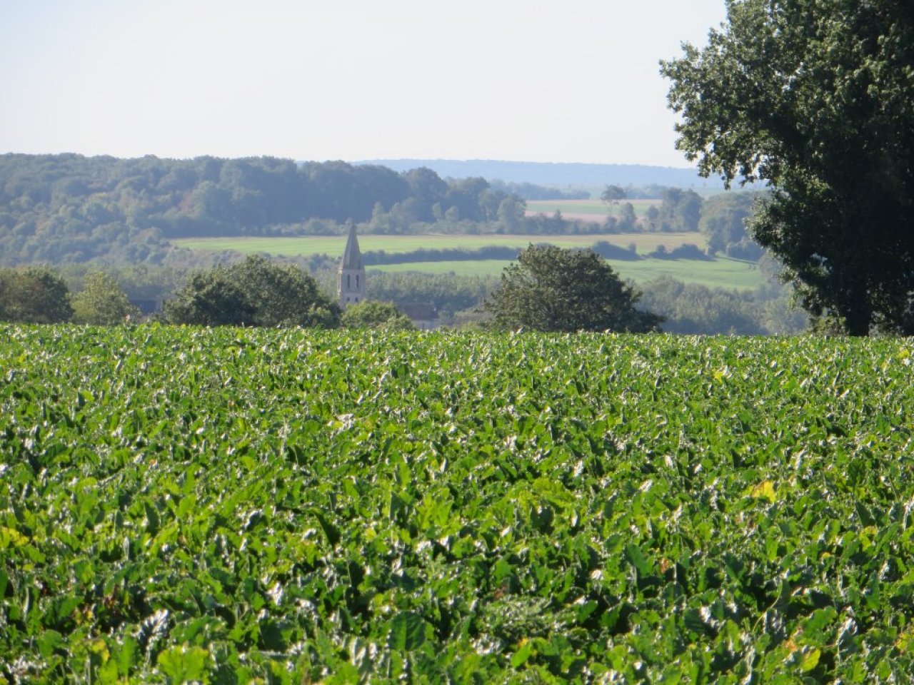 photo du diaporama