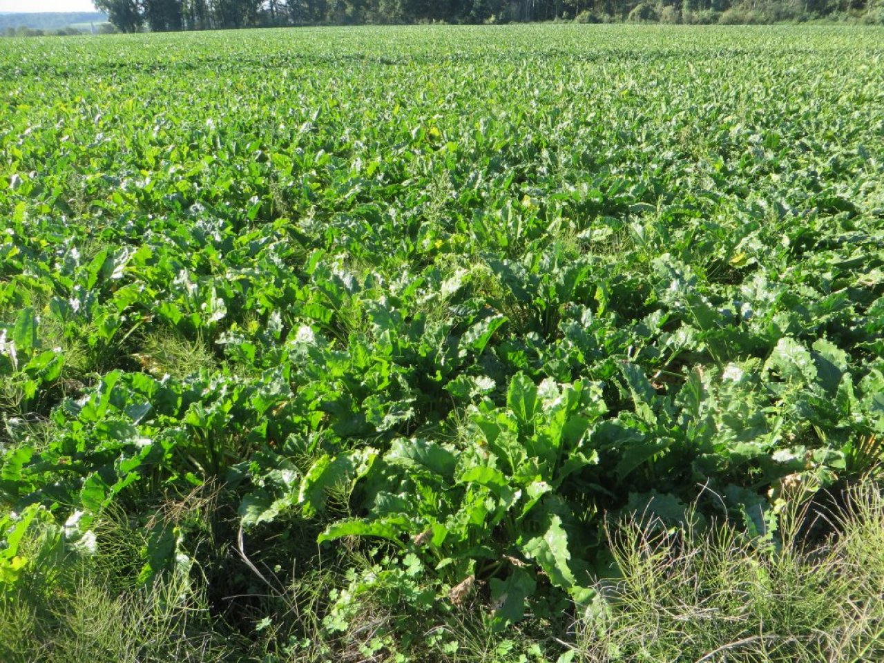 photo du diaporama