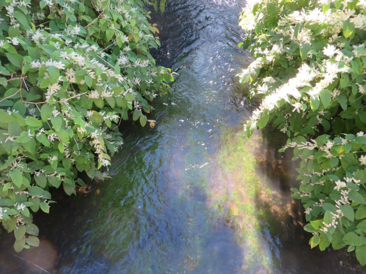 photo du diaporama