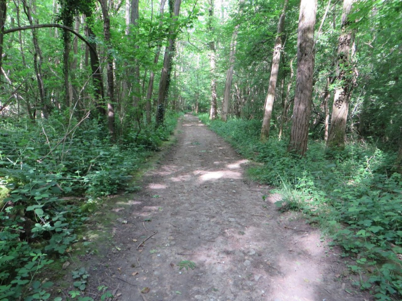 photo du diaporama