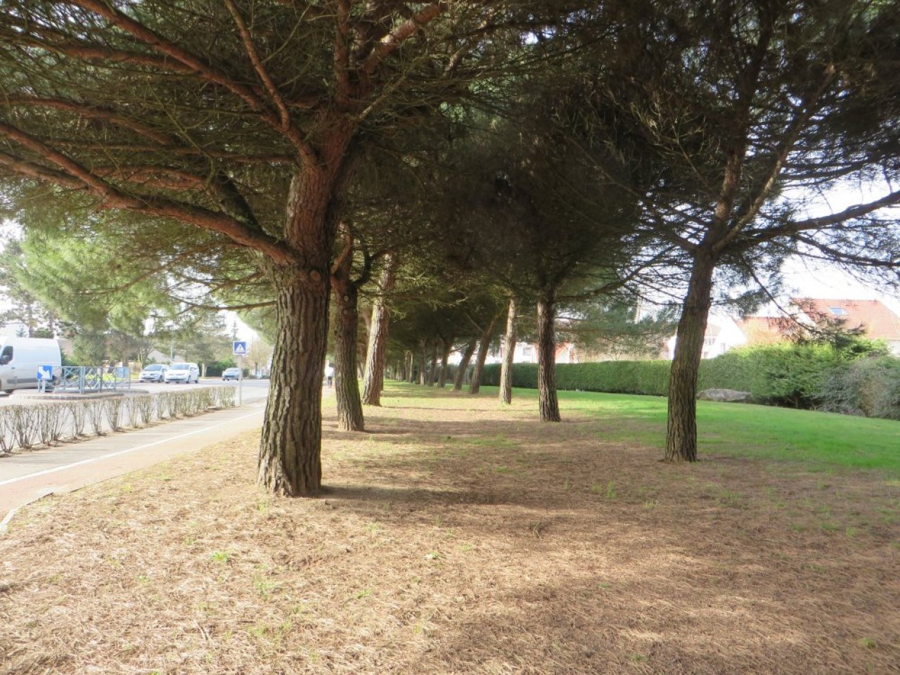 photo du diaporama