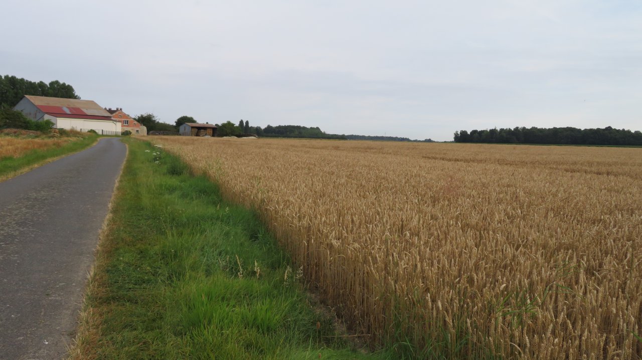 photo du diaporama