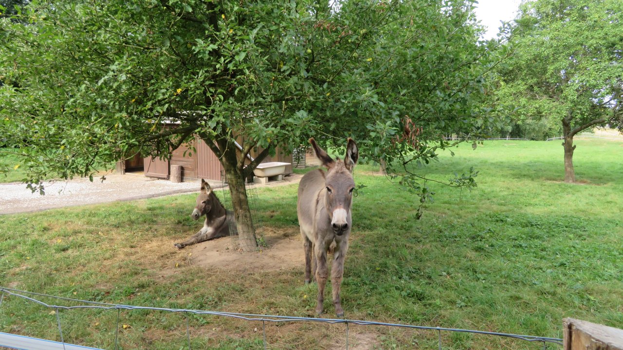 photo du diaporama