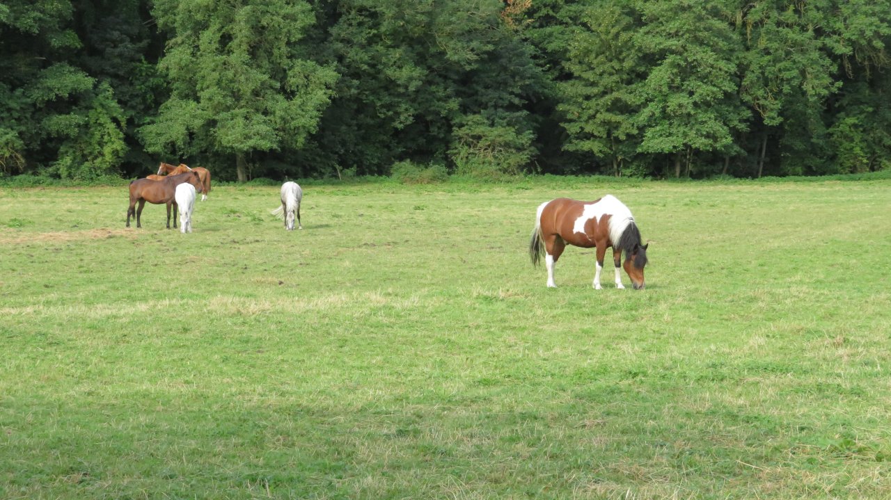 photo du diaporama