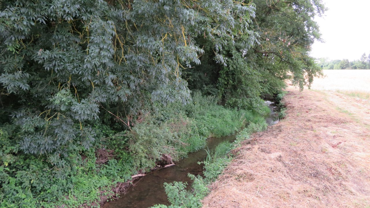photo du diaporama
