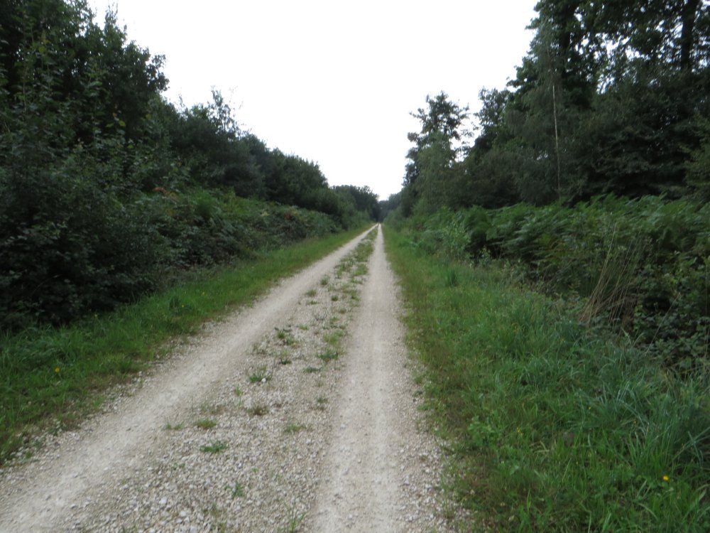 photo du diaporama
