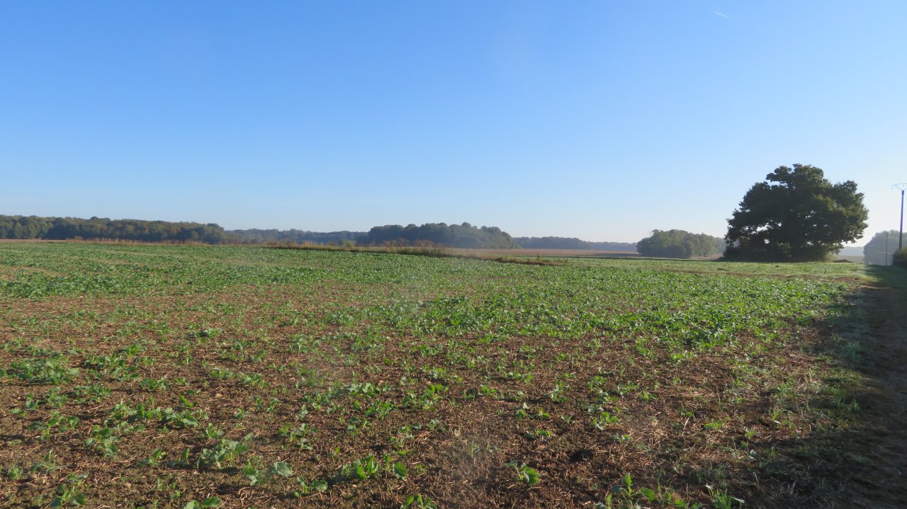 photo du diaporama