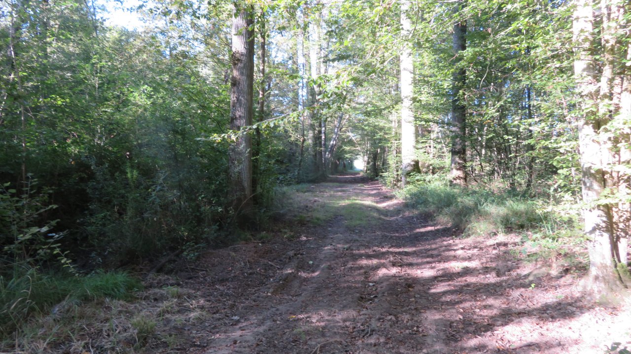photo du diaporama
