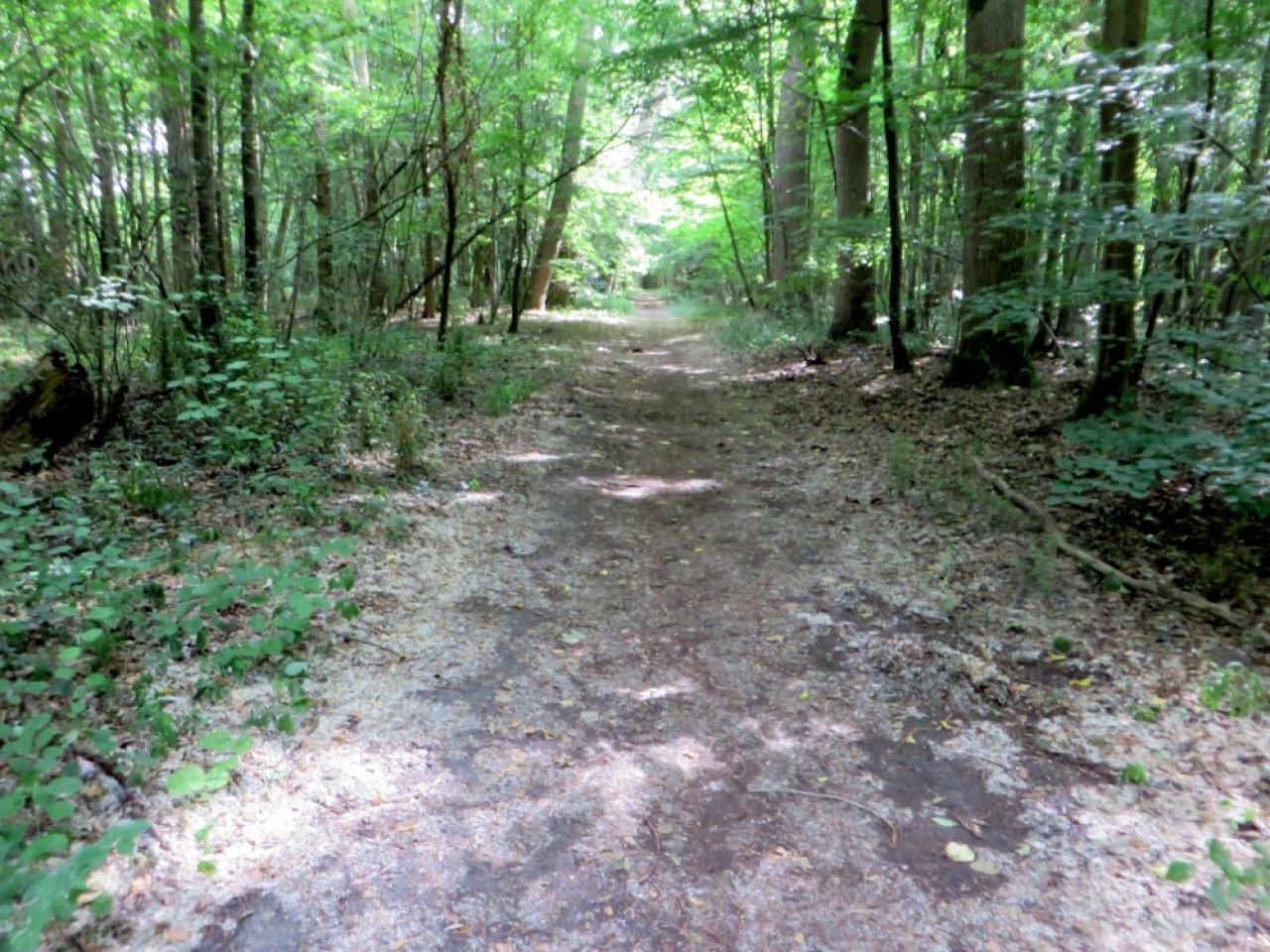 photo du diaporama