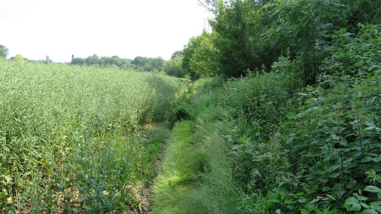 photo du diaporama