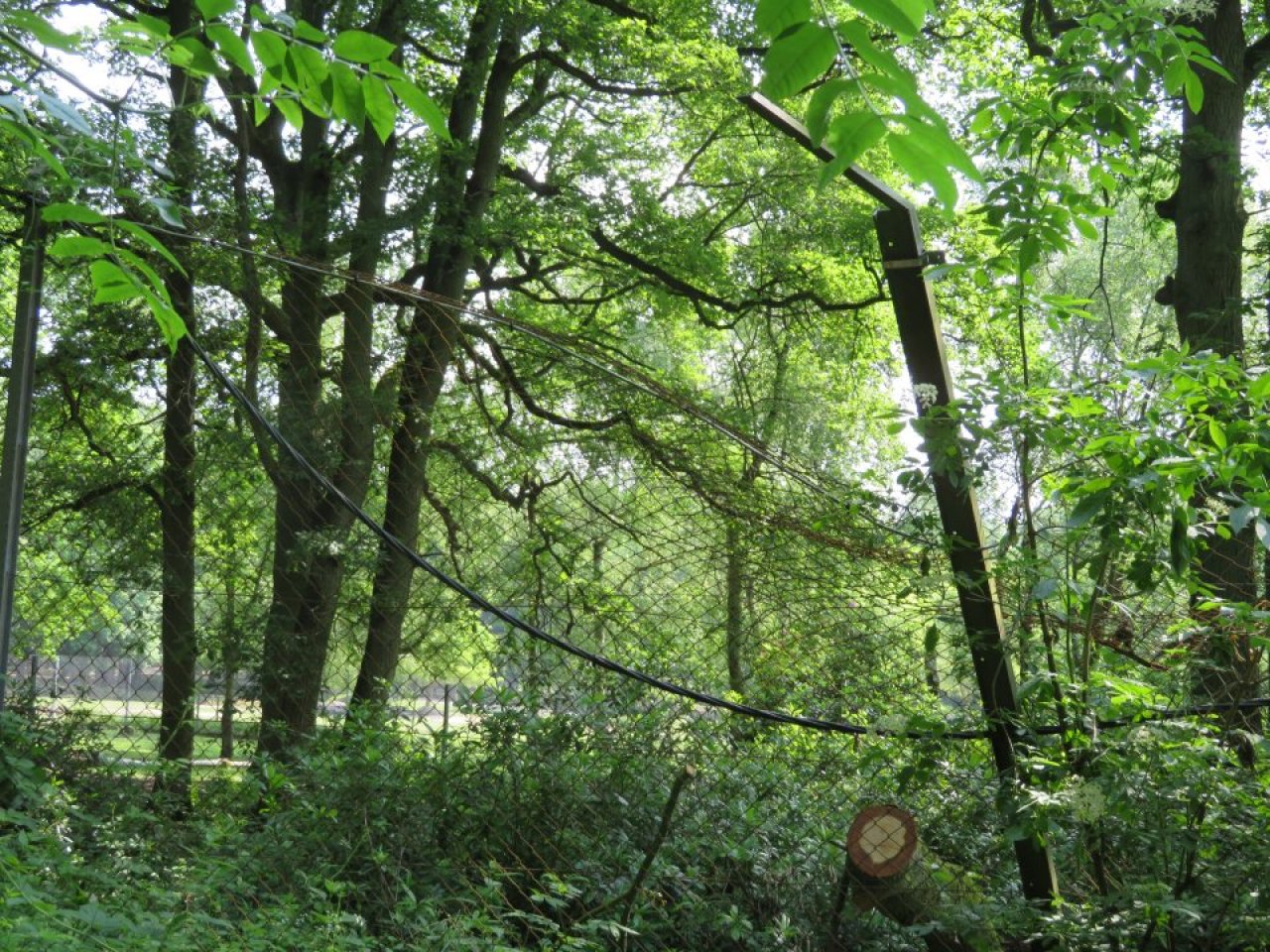 photo du diaporama