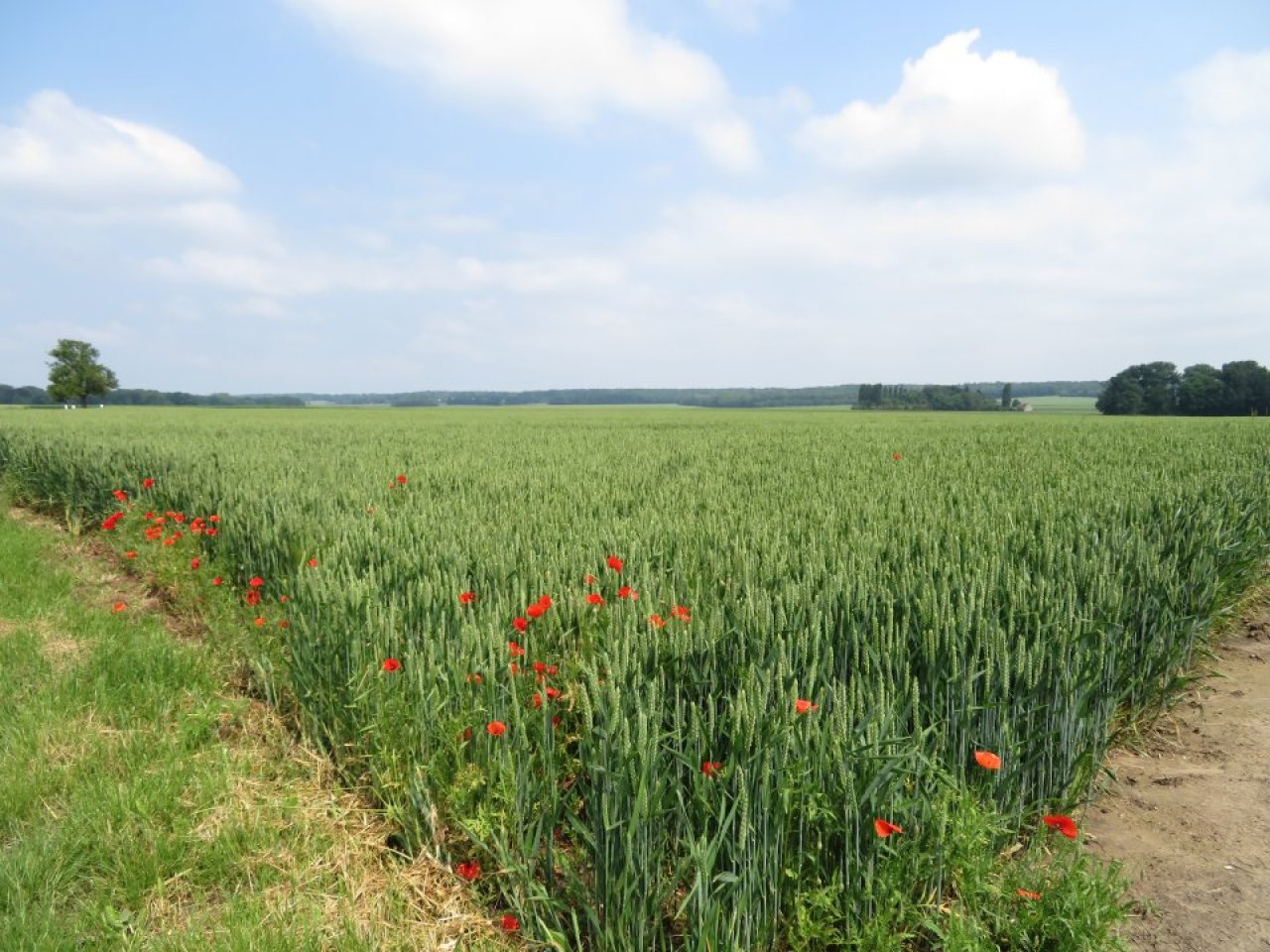 photo du diaporama