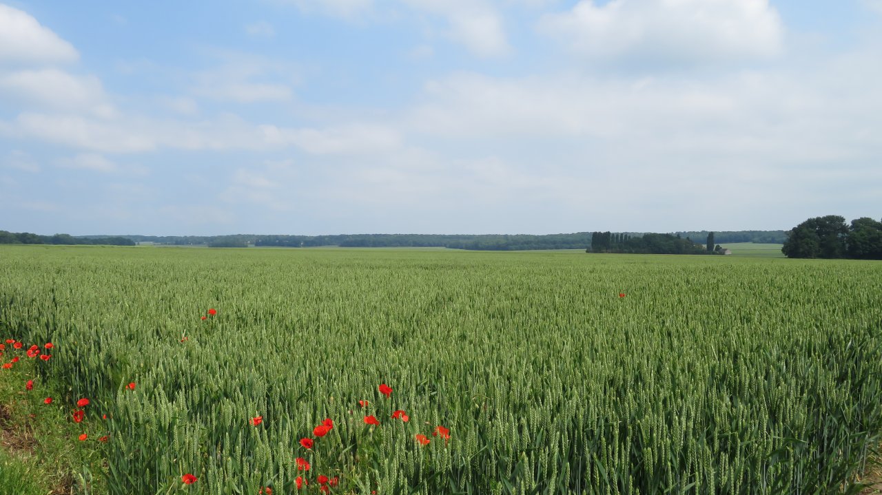 photo du diaporama
