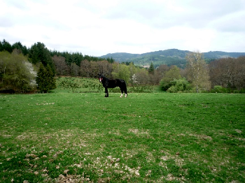 photo de la randonn�e