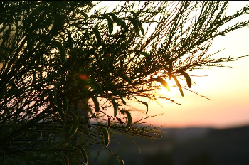 photo de la randonn�e