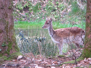 photo de la randonn�e