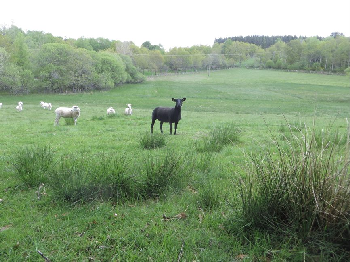 photo de la randonn�e