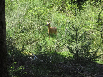 photo de la randonn�e