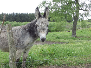 photo de la randonn�e