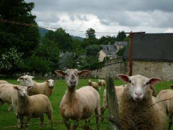 photo de la randonn�e