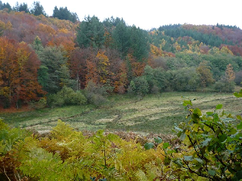 photo de la randonn�e