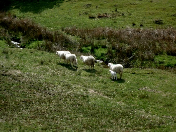 photo de la randonn�e